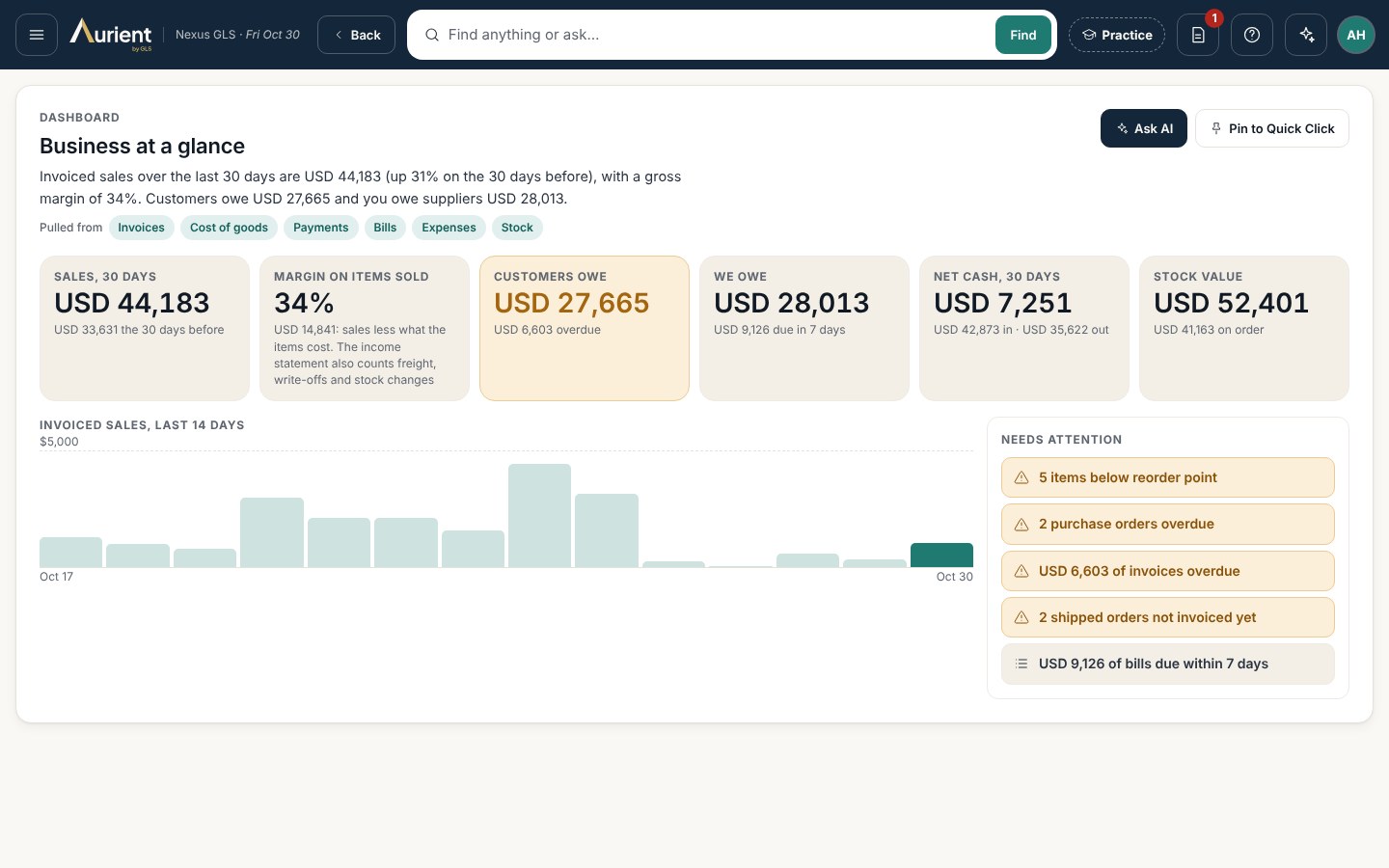 Aurient's business snapshot on a computer